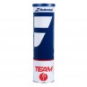 51210 Tennisbälle BABOLAT Team Dose  4 Bälle